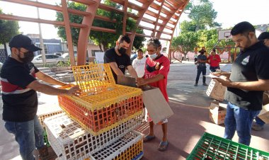 Sigue apoyo en Jojutla con aves de postura a bajo costo