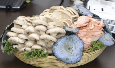 Impulsa UAEM intercambio de saberes en el poblado Santa María Ahuacatitlán