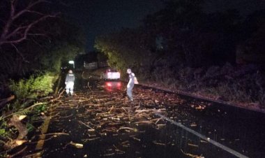 Regresan las lluvias y causan daños