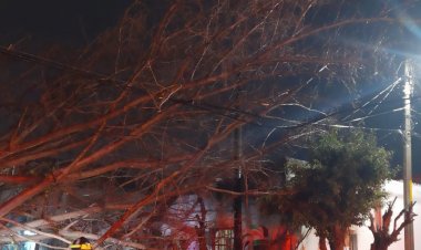 Lluvias pausadas retornaron y causaron cuantiosos daños