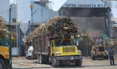 Recibirán cañeros de Casasano 100 pesos extra a través de un excedente