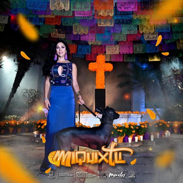 Ofrecerá Festival Miquixtli 2022 variada cartelera cultural con actividades para toda la familia