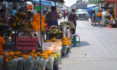 Vendedores de cempoazúchitl se quedaron con mucho producto