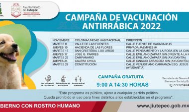 Continúa la esterilización  de mascotas en Jiutepec