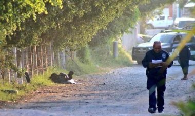 Divulvadoras solicita no dejar de indagar cada acto violento a mujeres