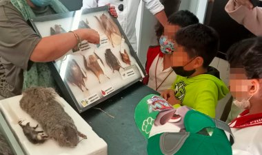 Fortalecen CIB y ayuntamiento de Cuernavaca vínculo de cooperación
