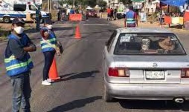 Guardias comunitarias piden apoyo para cuidar cultivos del aguacate
