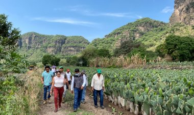 Hoy concluye el Censo Agropecuario 2022