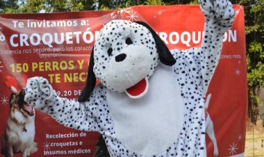 Activistas de Cuautla preparan próximo "Croqueton"; piden ayuda para esterilizar