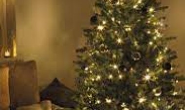 Reiteran invitación a prevenir incendios con las luces y los árboles de Navidad