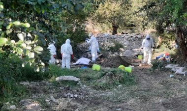 Son recién enterrados los cadáveres hallados por la Brigada de Búsqueda