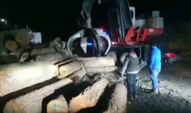 Desmantelaron centros madereros presuntamente ilegales en Huitzilac