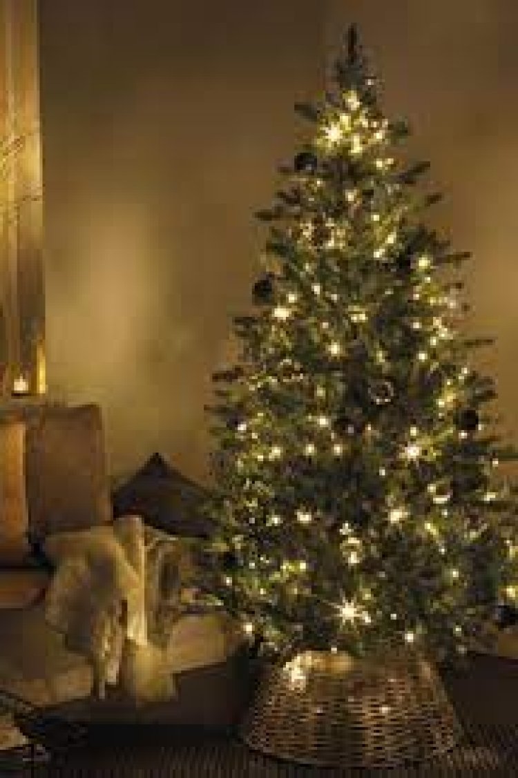 Reiteran invitación a prevenir incendios con las luces y los árboles de Navidad
