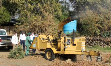 Inician campaña ecológica de acopio de árboles de Navidad