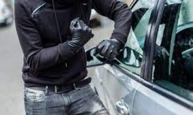 Acepta Alicia Vázquez Luna un  aumento de robos vehiculares