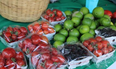 El mercadito verde será  permanente en Cuautla