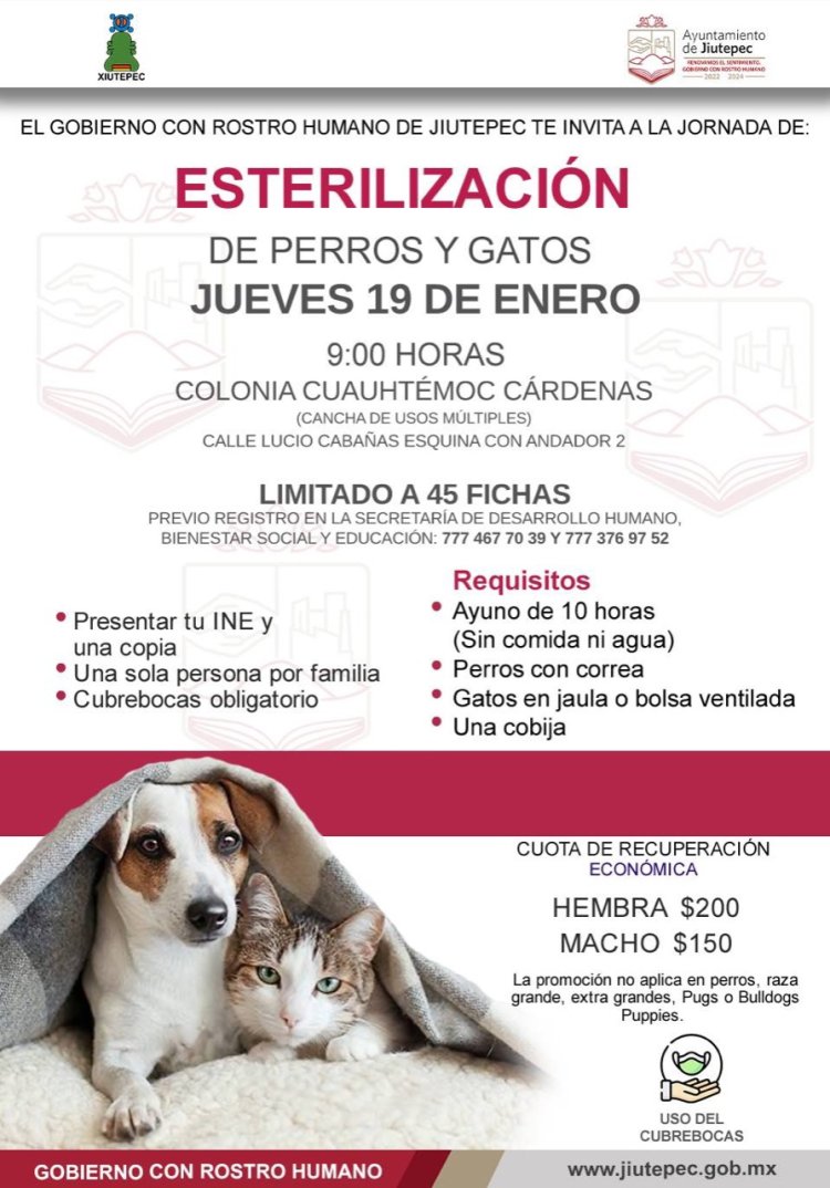 Este viernes, se operaron a 100 mascotas en Jiutepec