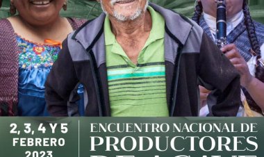 El agave es negocio de $50  millones al año para Morelos