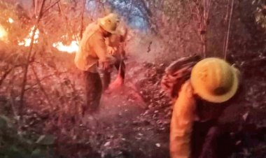 Fuegos forestales golpearon  a Tepoztlán y Atlatlahucan