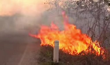 Hasta ocho incendios diarios atiende Bomberos de Cuautla