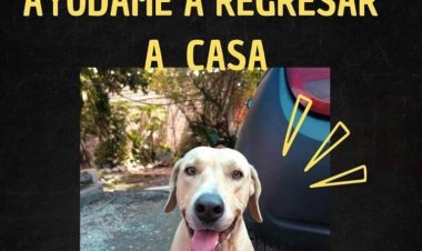 Se disparan las extorsiones en el municipio de Cuautla