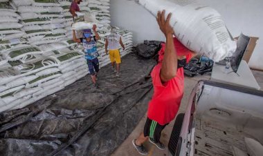 Impulsarán la producción de arroz de calidad ante el pésimo de importación