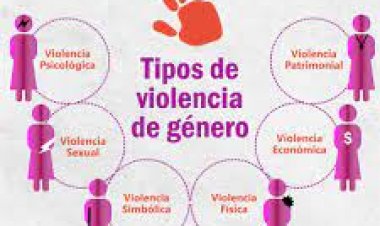 Aumentó 20 por ciento violencia de  género: Instituto de la Mujer