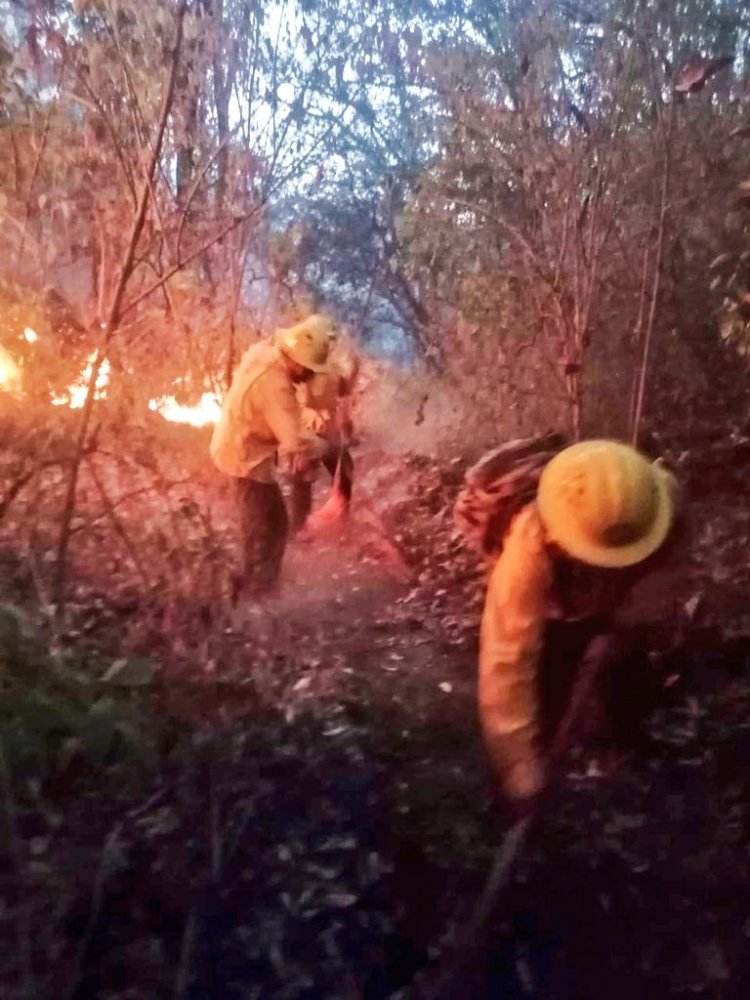 Fuegos forestales golpearon  a Tepoztlán y Atlatlahucan