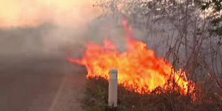 Hasta ocho incendios diarios atiende Bomberos de Cuautla