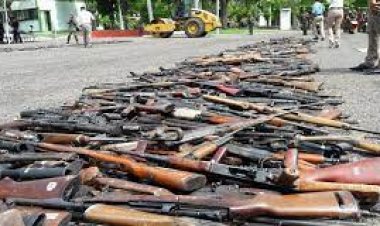 Más de 280 armas de fuego cortas y largas, destruidas