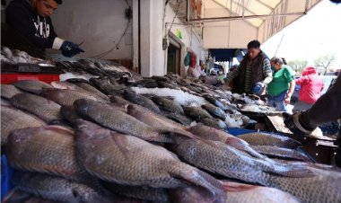Coprisem sancionó a  negocios que venden pescado y mariscos
