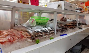 Ni en Cuaresma se recupera venta de pescado y marisco