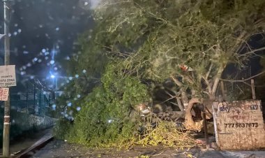 Saldo blanco en Morelos tras fuertes vientos, informa Protección Civil