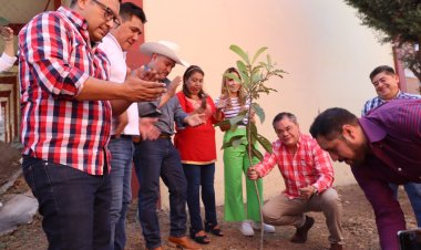 Inicia Jiutepec jornada de reforestación en secundaria de la colonia Jardín Juárez
