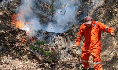 Evitar arrojar basura para no generar  incendios forestales, llama a la población