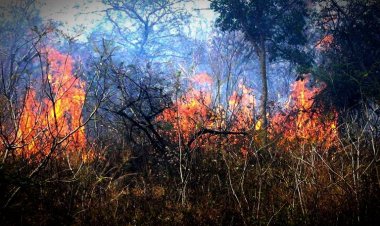 En su mayoría, los incendios son provocados por quema de basura