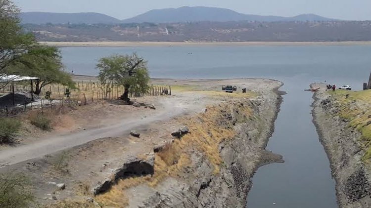 Conagua considera que hay suficiente agua en las presas para irrigar tierras