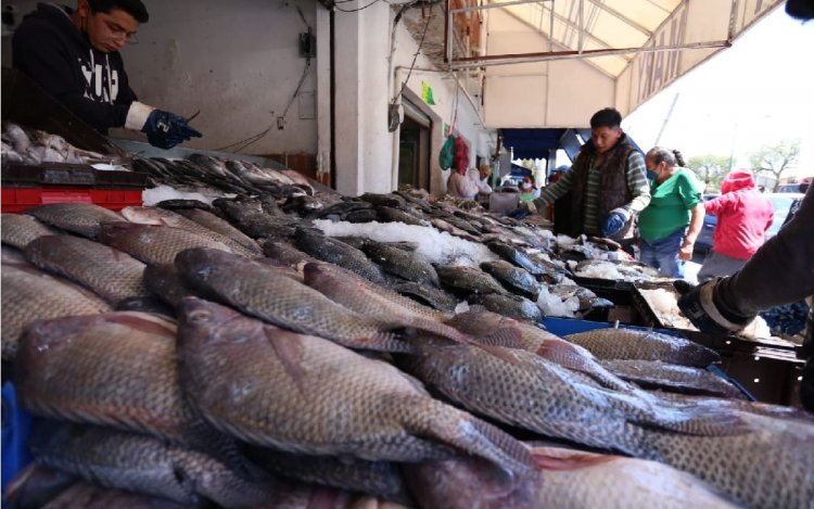 Coprisem sancionó a  negocios que venden pescado y mariscos