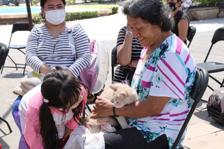 Exhorta a cuidar la salud de animales de compañía el gobierno de Jiutepec