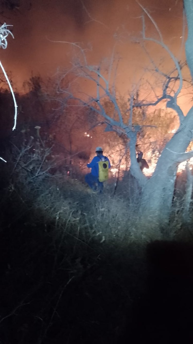 Se combatía este jueves incendio forestal en paraje de Tepoztlán