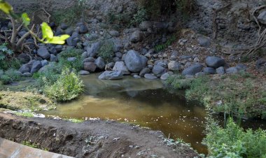 Colectivos ambientalistas invitan a sumarse al rescate del Río Cuautla