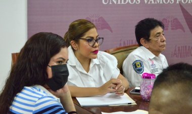 Critica diputada Paola Cruz escasa presencia de las fuerzas federales