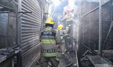 Se avanza en el Hermenegildo  Galeana, dice Cecilia Rodríguez