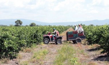 Campesinos acusan estarpagando derecho de piso
