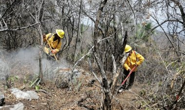 Tres voraces incendios no podían ser extintos hasta la tarde de ayer