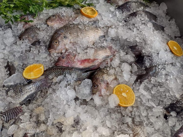 No subieron precio de pescados y mariscos, según aseguran los comerciantes del ALM