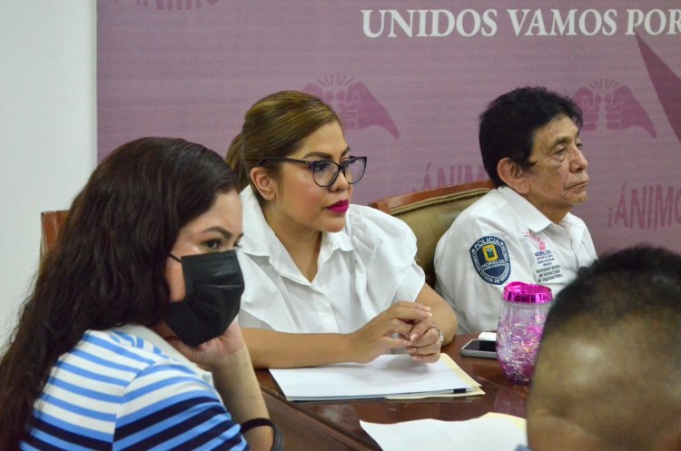 Critica diputada Paola Cruz escasa presencia de las fuerzas federales