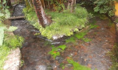 Advierten sobre disminución en nivel de agua de manantiales