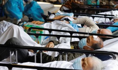 Se acabó la pandemia de covid-19