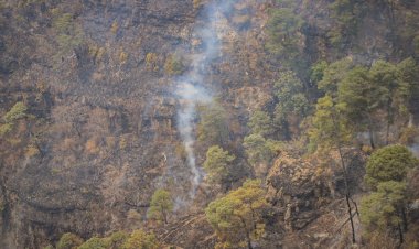 Hasta ayer, seguía el combate a un incendio forestal en Tepoztlán